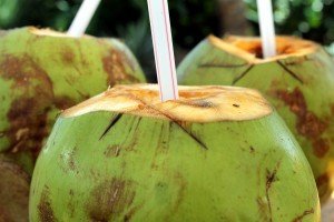Coconuts goa